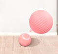 Bild in Galerie-Betrachter laden, PurrPlay Electric Rolling Ball
