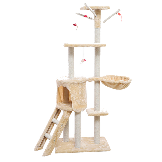 Cat Climber Cat House