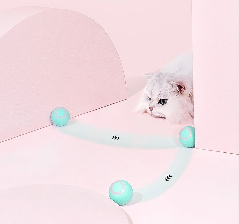 PurrPlay Electric Rolling Ball