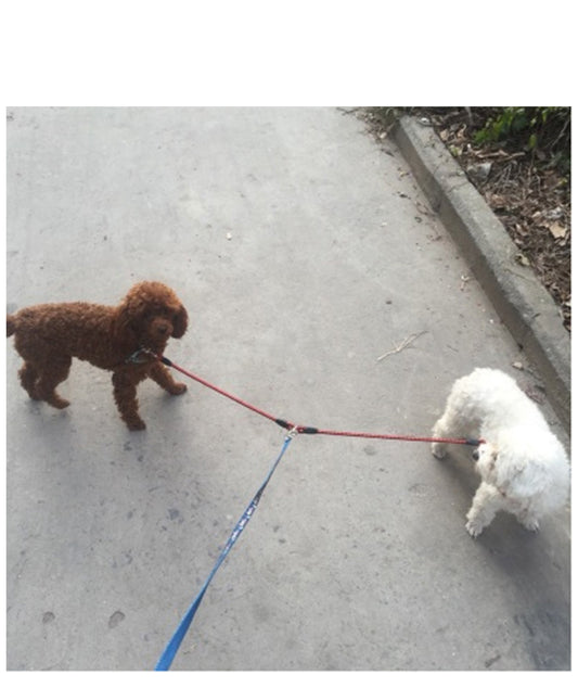 DuoWalk Dual Dog Leash