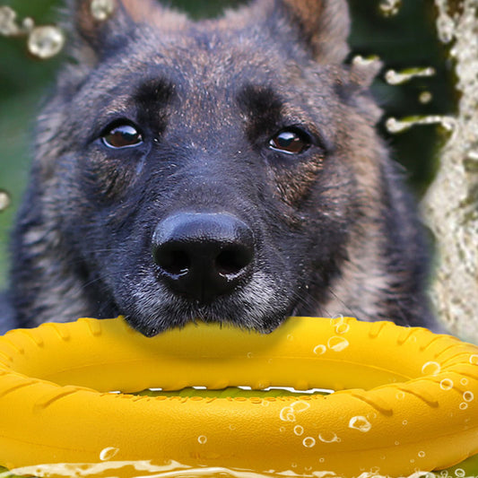 PowerGrip Dog Training Tug Ring