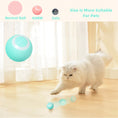 Bild in Galerie-Betrachter laden, PurrPlay Electric Rolling Ball
