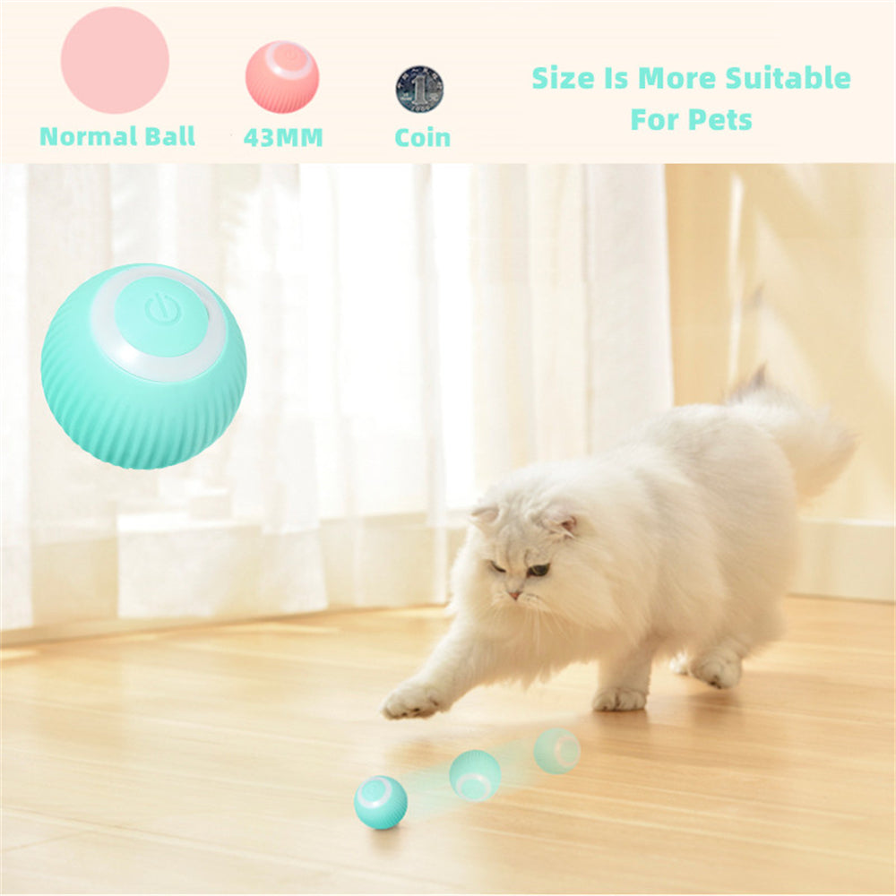 PurrPlay Electric Rolling Ball