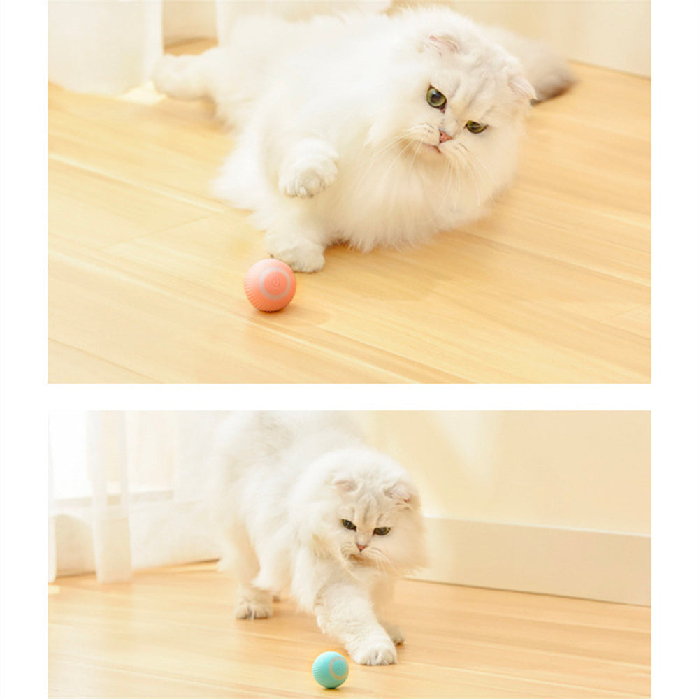 PurrPlay Electric Rolling Ball