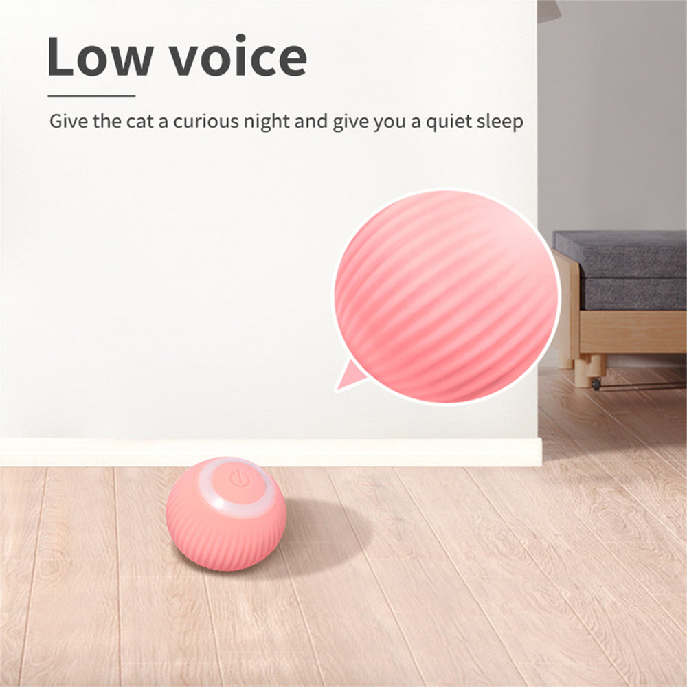 PurrPlay Electric Rolling Ball