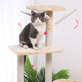 Load image into Gallery viewer, Cat Climber Cat House
