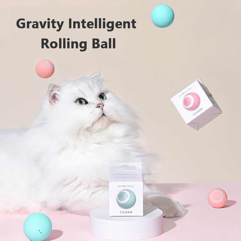 PurrPlay Electric Rolling Ball