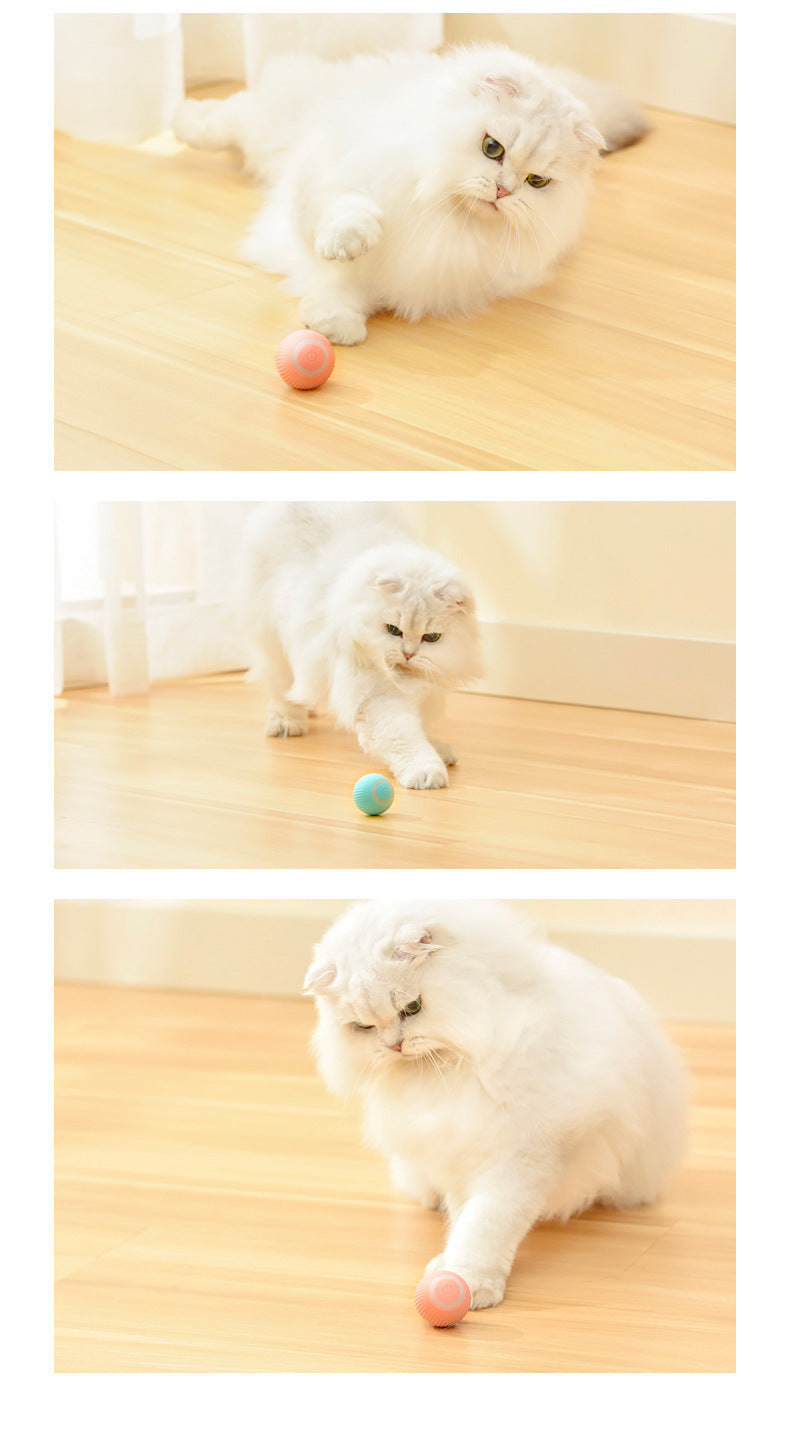 PurrPlay Electric Rolling Ball