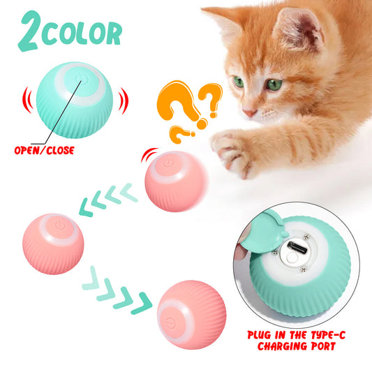 PurrPlay Electric Rolling Ball