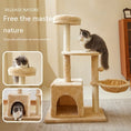 Load image into Gallery viewer, Kitty Climber Wear-resistant No Dandruff
