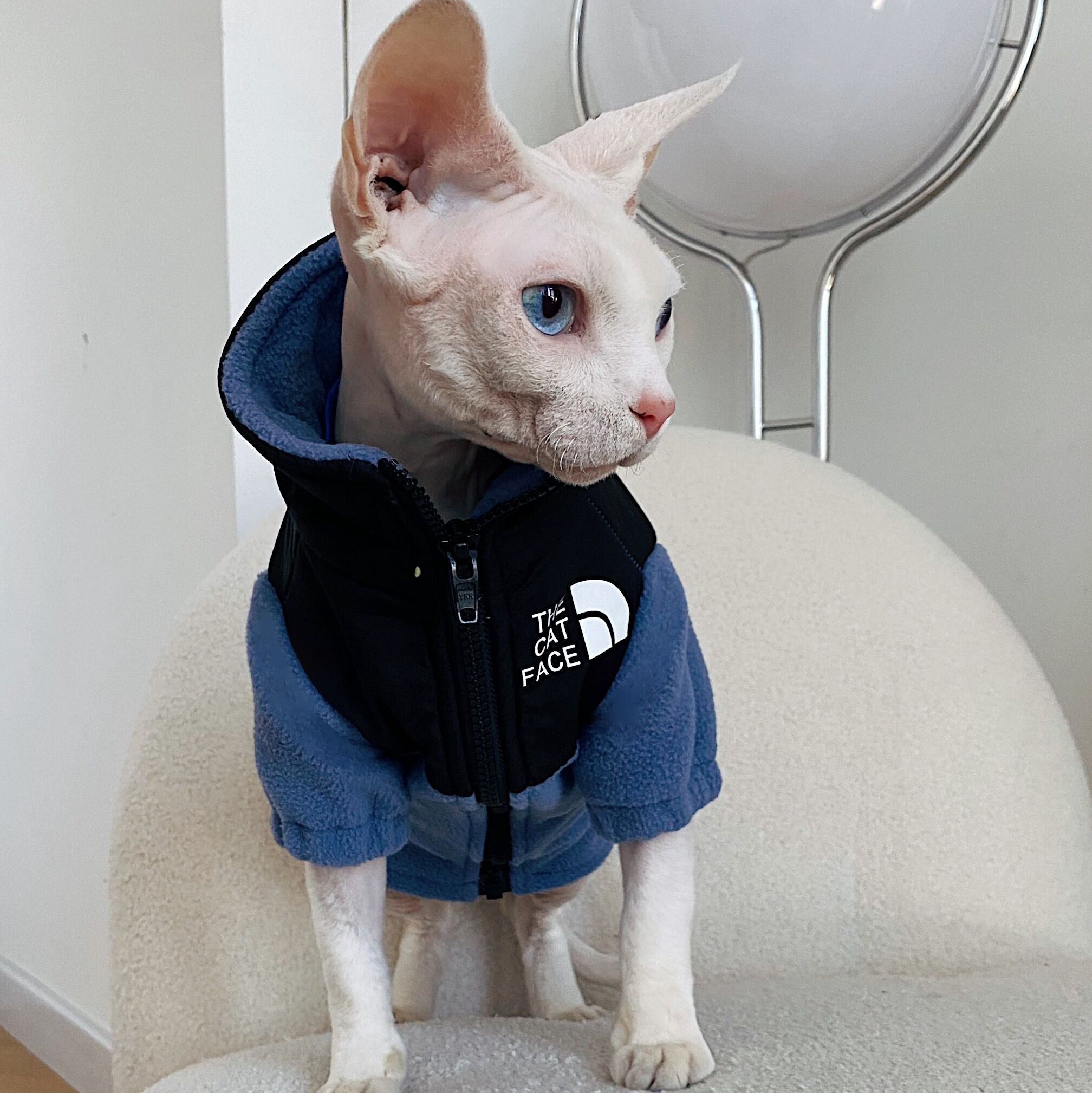 The Cat Face Cozy Jacket