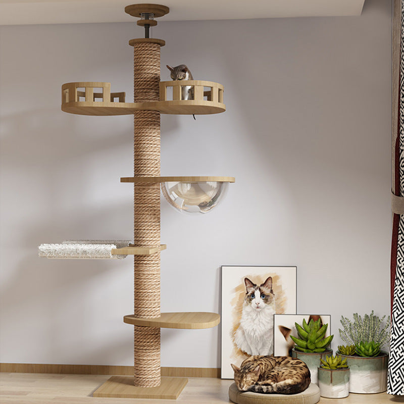 PurrPeak Climbing Tower