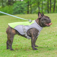 Load image into Gallery viewer, SunShield Outdoor Dog Jacket
