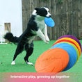 Load image into Gallery viewer, FlyFetch Dog Disc
